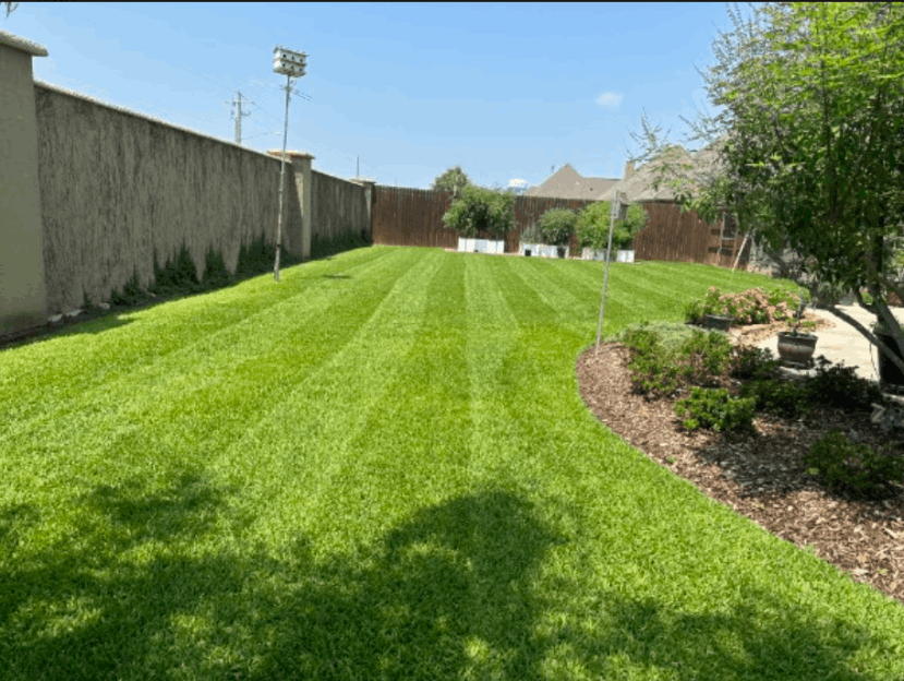 Texas Greenworx Lawn Service 